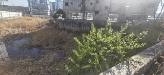 경기 파주시 문산읍 잡종지 경매 물건 사진 3 · 2026타경60822