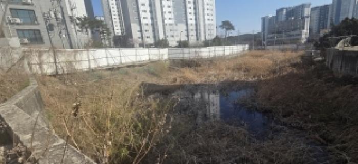 경기 파주시 문산읍 잡종지 경매 물건 사진 4 · 2026타경60822