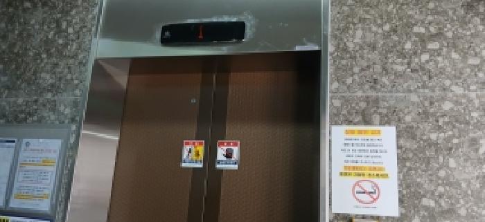 경기 고양시 일산동구 풍동 다세대 경매 물건 사진