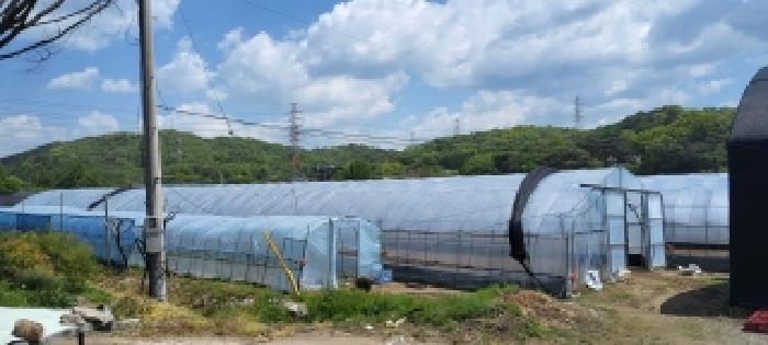 경기 고양시 덕양구 대자동 전답 경매 물건 사진 2 · 2026타경61101