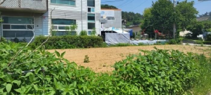 경기 고양시 덕양구 대자동 대지,임야,전답 경매 물건 사진