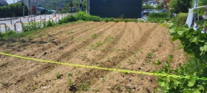 경기 고양시 덕양구 대자동 대지,임야,전답 경매 물건 사진 2 · 2026타경61325