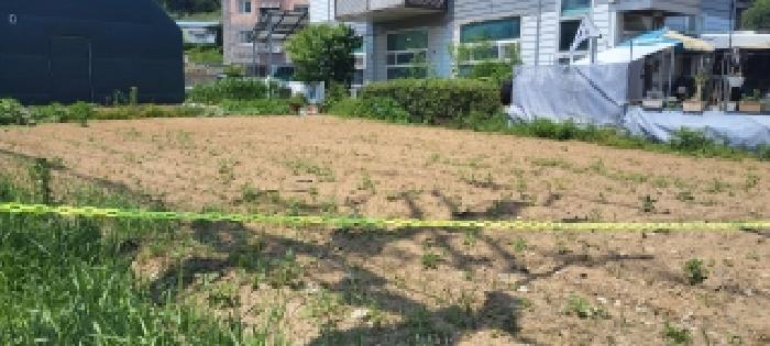 경기 고양시 덕양구 대자동 대지,임야,전답 경매 물건 사진 4 · 2026타경61325