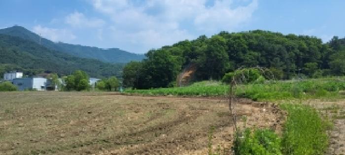 경기 파주시 광탄면 전답 경매 물건 사진