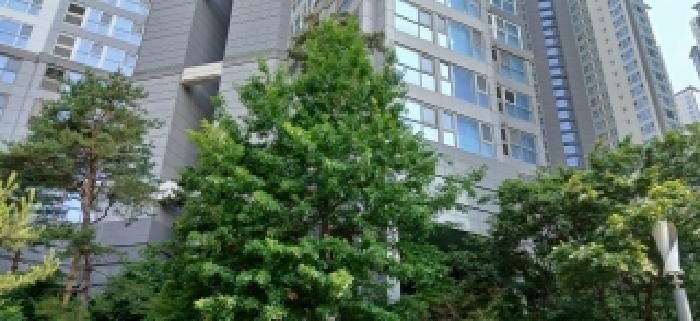 경기 고양시 일산서구 탄현동 아파트 경매 물건 사진 2 · 2026타경61437