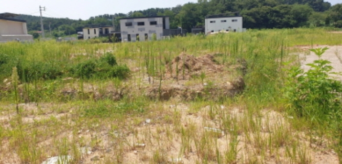 경기 안산시 단원구 대부남동 답 경매 물건 사진 2 · 2024타경62963