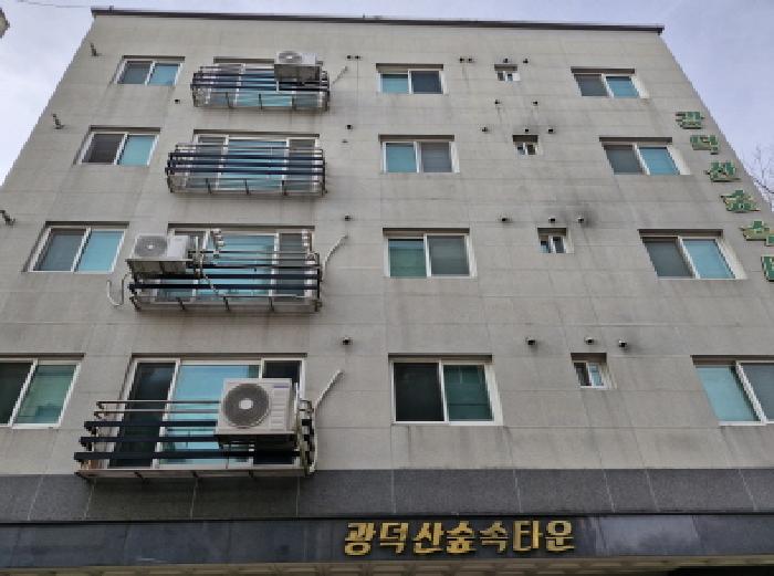 경기 안산시 상록구 월피동 다세대 경매 물건 사진