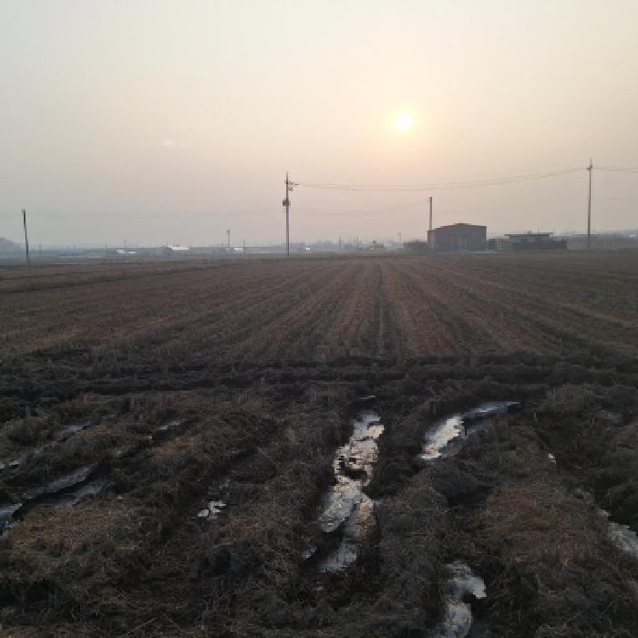 경기 안산시 상록구 본오동 전답 경매 물건 사진