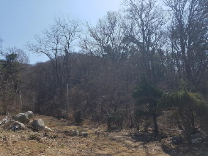 경기 시흥시 군자동 임야 경매 물건 사진 2 · 2025타경51815