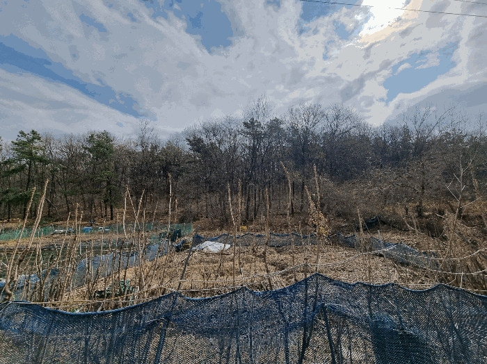 경기 안산시 상록구 사사동 임야 경매 물건 사진 4 · 2025타경51936
