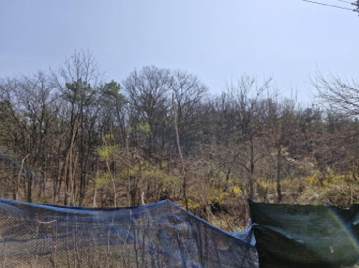 경기 안산시 상록구 사사동 임야 경매 물건 사진
