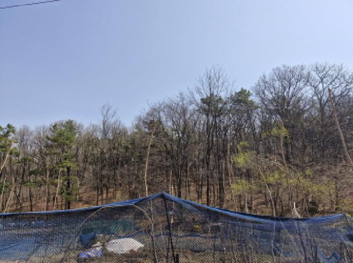 경기 안산시 상록구 사사동 임야 경매 물건 사진 2 · 2025타경51936