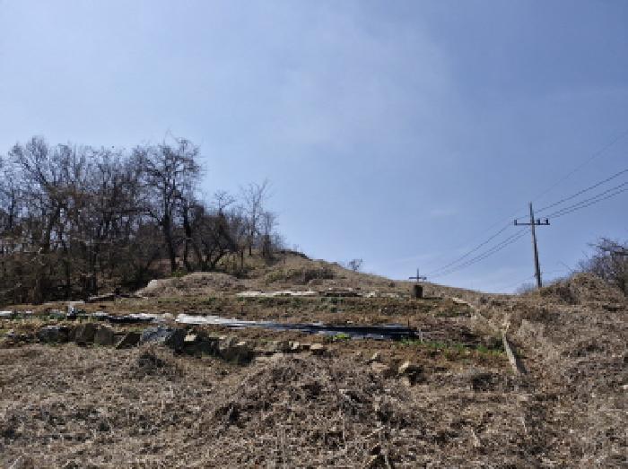 경기 안산시 상록구 월피동 전답 경매 물건 사진 2 · 2025타경51981