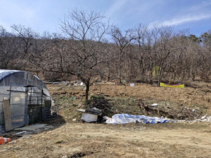 경기 안산시 상록구 월피동 전답 경매 물건 사진 4 · 2025타경51981