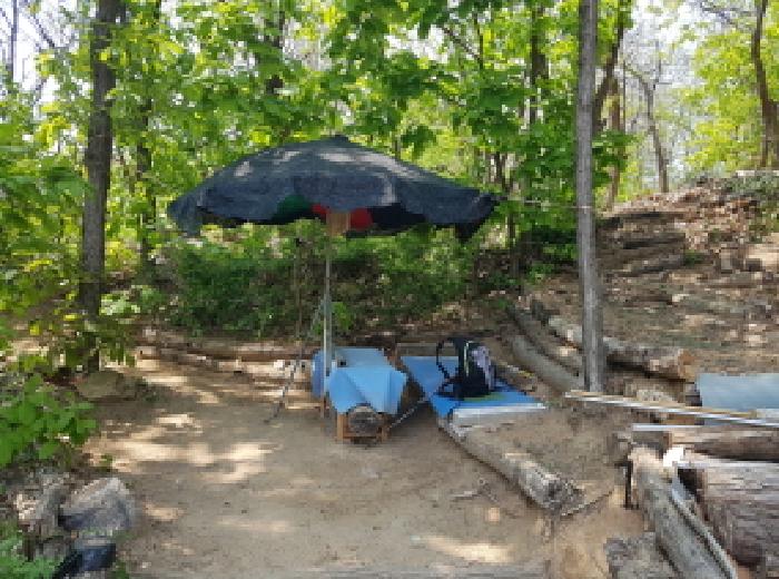 경기 시흥시 대야동 임야 경매 물건 사진 2 · 2025타경52154