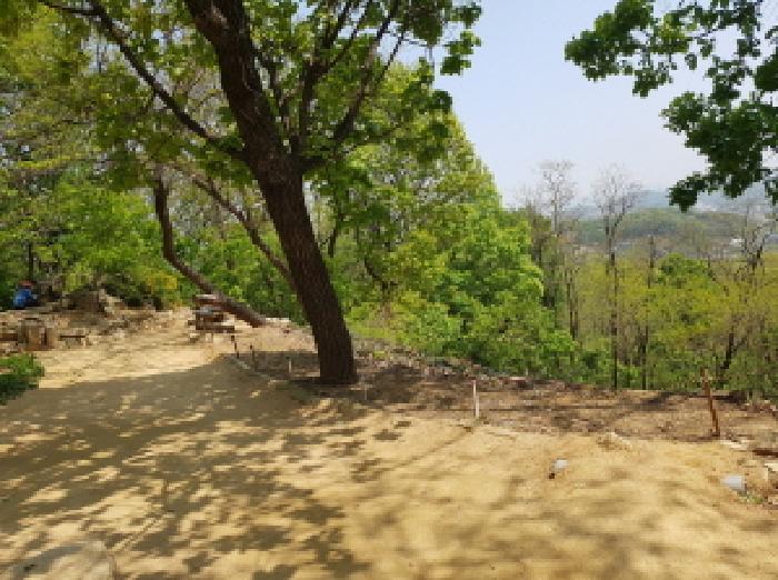 경기 시흥시 대야동 임야 경매 물건 사진 4 · 2025타경52154