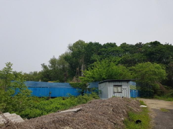 경기 시흥시 조남동 임야 경매 물건 사진