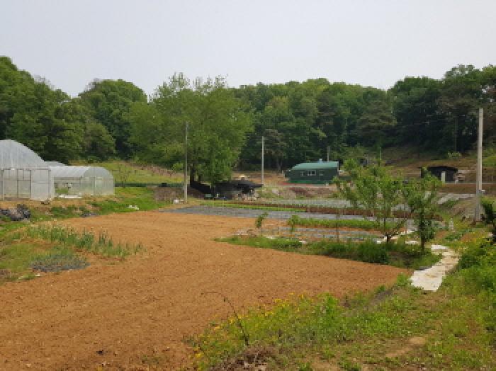 경기 시흥시 조남동 임야 경매 물건 사진 6 · 2025타경52166