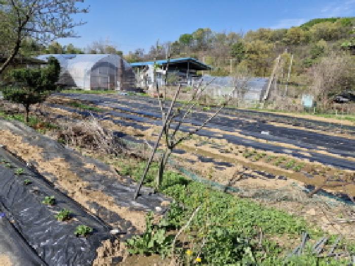 경기 안산시 단원구 선부동 창고시설 경매 물건 사진 6 · 2025타경52179