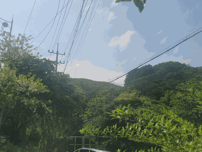 경기도 광명시 일직동 산38 임야 경매 물건 사진