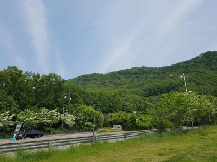 경기 광명시 일직동 임야 경매 물건 사진
