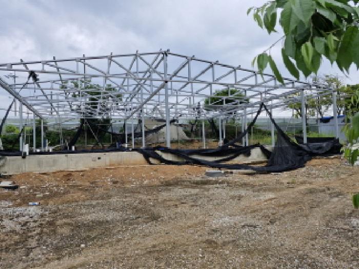경기 안산시 단원구 선감동 대지 경매 물건 사진 5 · 2025타경52310