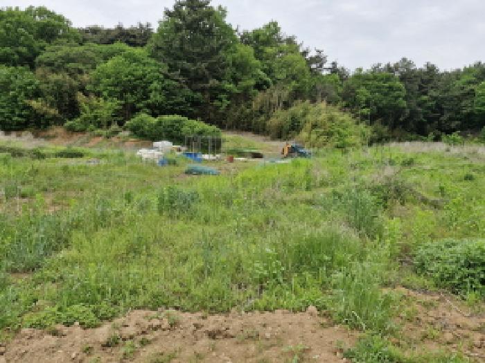 경기 안산시 단원구 대부남동 전 경매 물건 사진 4 · 2025타경52311