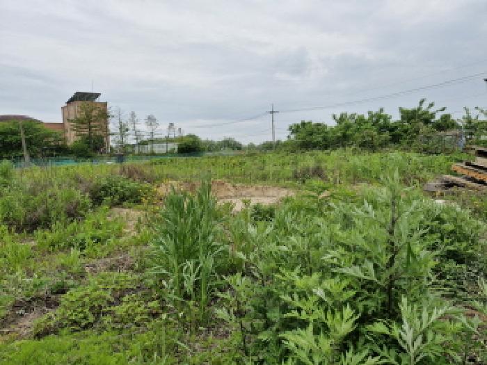 경기 안산시 단원구 대부남동 도로 경매 물건 사진 3 · 2025타경52416