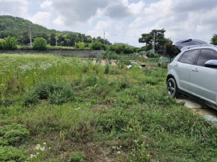경기 안산시 단원구 대부동동 전 경매 물건 사진