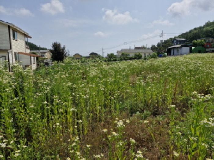 경기 안산시 단원구 대부동동 전 경매 물건 사진 3 · 2025타경52556