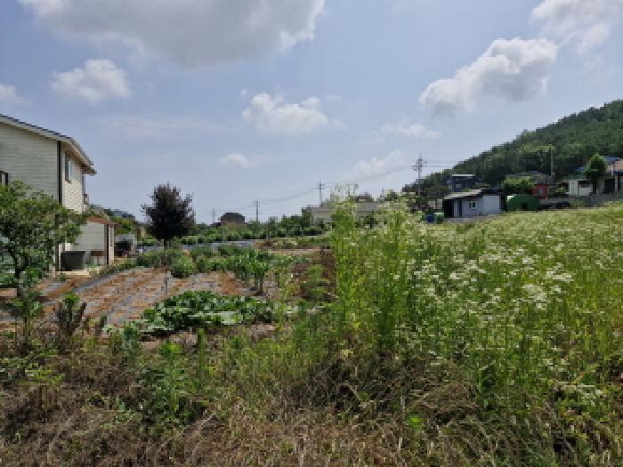 경기 안산시 단원구 대부동동 전 경매 물건 사진 4 · 2025타경52556