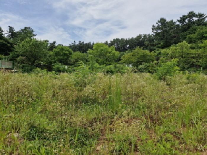 경기 안산시 단원구 대부남동 대지,임야,전답 경매 물건 사진 2 · 2025타경52756