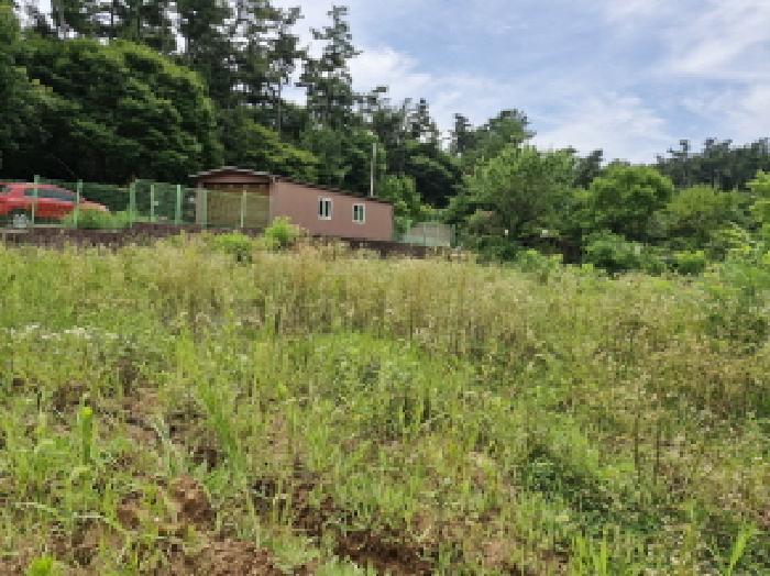 경기 안산시 단원구 대부남동 대지,임야,전답 경매 물건 사진 3 · 2025타경52756