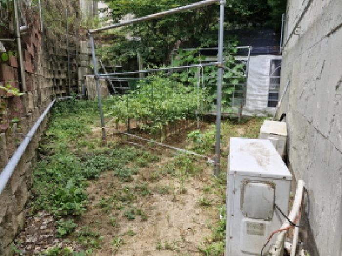 경기 안산시 단원구 대부남동 대지,임야,전답 경매 물건 사진 6 · 2025타경52756
