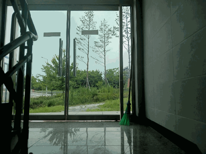 경기 시흥시 은행동 다세대주택 경매 물건 사진 6 · 2025타경52783