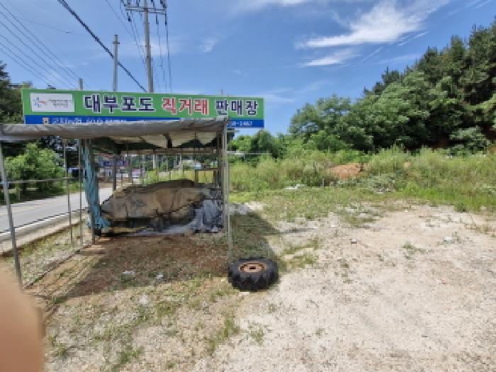 경기 안산시 단원구 대부동동 임야 경매 물건 사진 5 · 2025타경52816