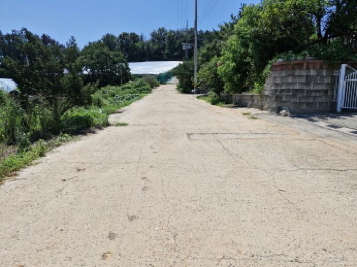 경기 안산시 단원구 대부남동 과수원 경매 물건 사진 2 · 2025타경52851