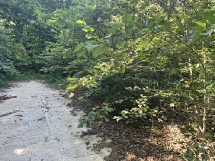 경기 안산시 단원구 대부동동 전 경매 물건 사진 5 · 2025타경52951