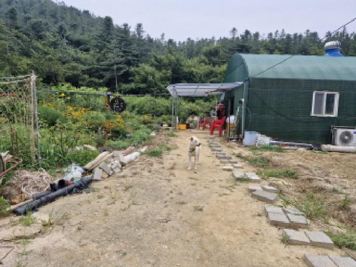 경기 안산시 단원구 대부북동 전답 경매 물건 사진