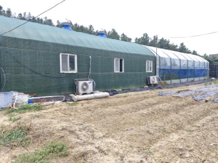 경기 안산시 단원구 대부북동 전답 경매 물건 사진 2 · 2025타경52952