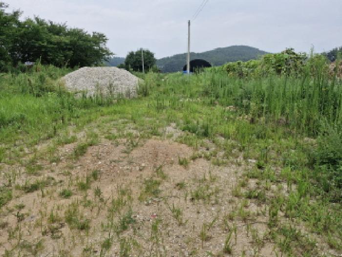 경기 안산시 단원구 대부남동 전답 경매 물건 사진