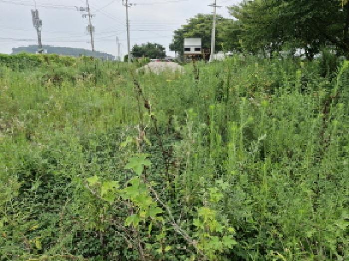 경기 안산시 단원구 대부남동 전답 경매 물건 사진 2 · 2025타경52972