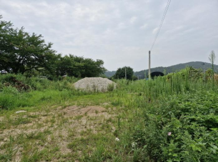 경기 안산시 단원구 대부남동 전답 경매 물건 사진 4 · 2025타경52972