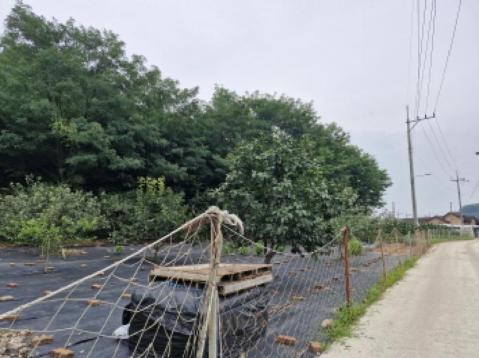 경기 안산시 단원구 대부동동 전 경매 물건 사진 4 · 2025타경52974