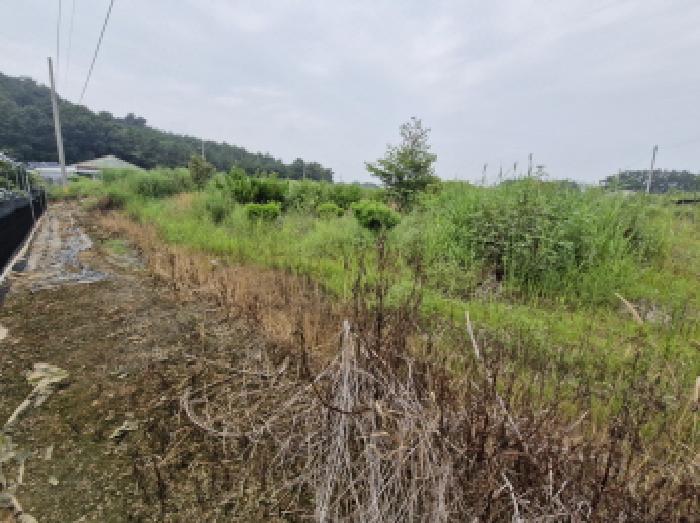 경기 안산시 단원구 대부남동 전 경매 물건 사진 6 · 2025타경52990