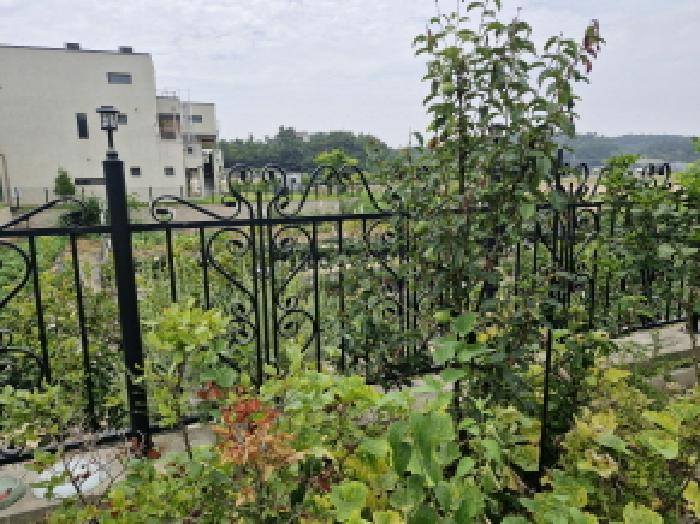 경기 안산시 단원구 대부남동 전답 경매 물건 사진 2 · 2025타경52993