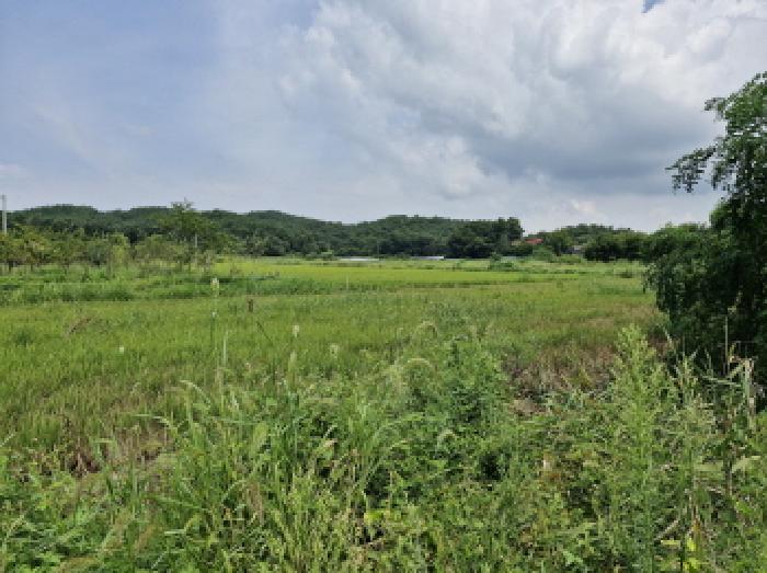 경기 안산시 단원구 대부남동 답 경매 물건 사진 2 · 2025타경52994