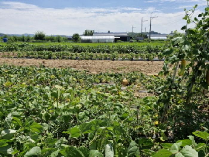 경기 안산시 상록구 본오동 전 경매 물건 사진 4 · 2025타경53012