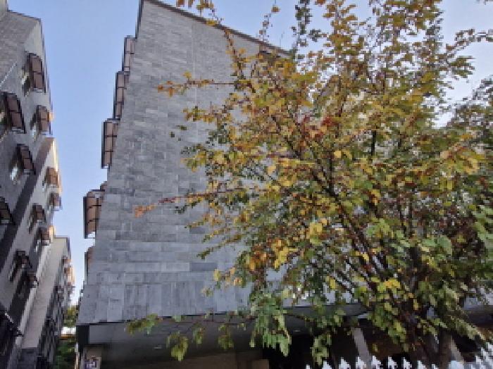 경기 안산시 단원구 원곡동 연립주택,다세대,빌라 경매 물건 사진