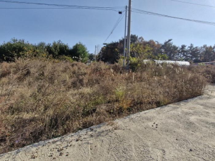 경기 안산시 단원구 대부남동 임야 경매 물건 사진 3 · 2025타경53615